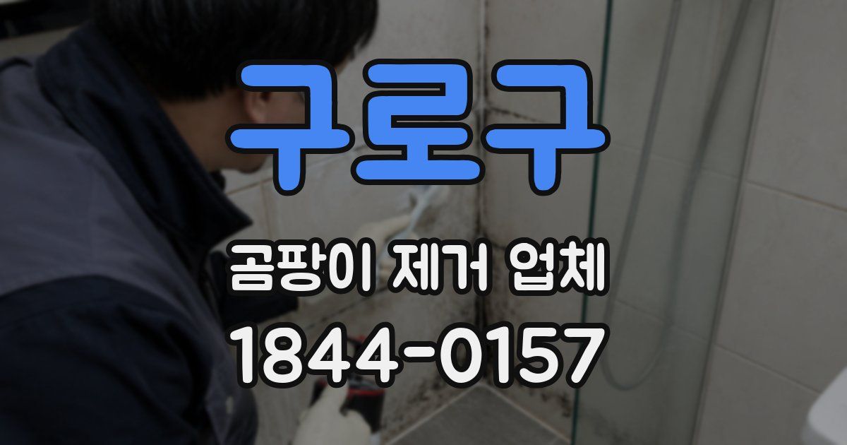 구로구 곰팡이 제거 업체