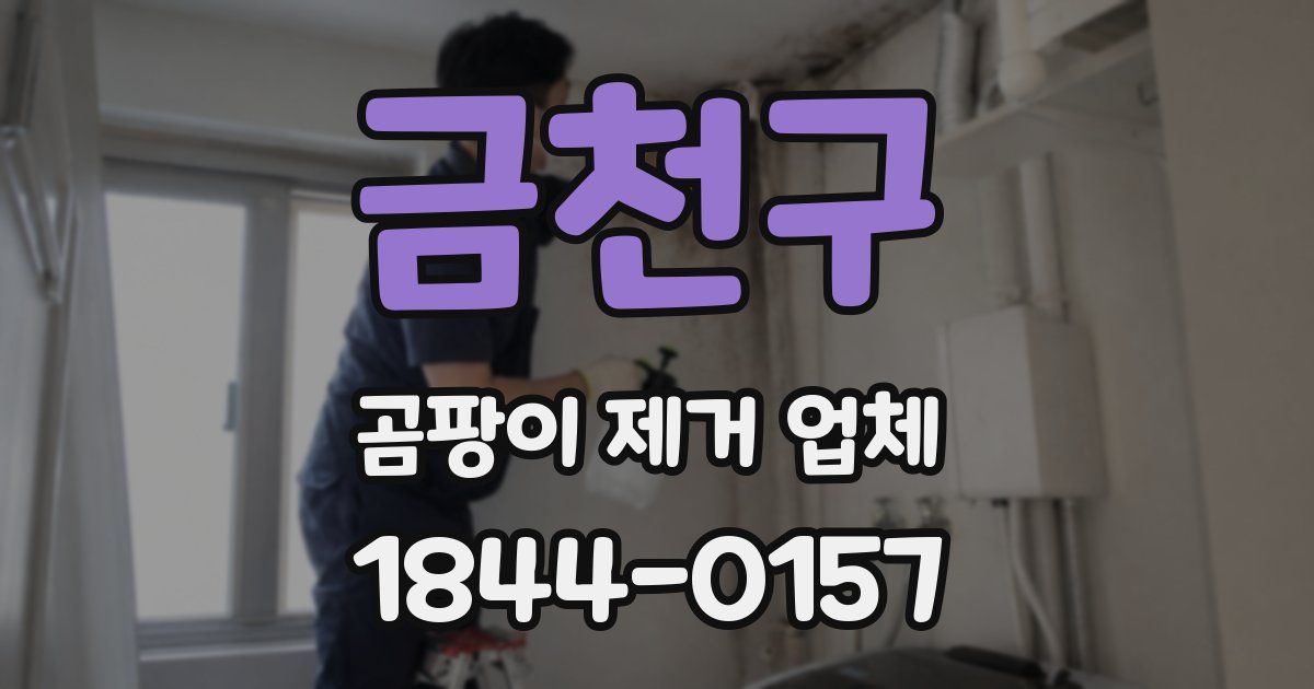 금천구 곰팡이 제거 업체