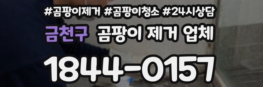 금천구 곰팡이 제거 업체
