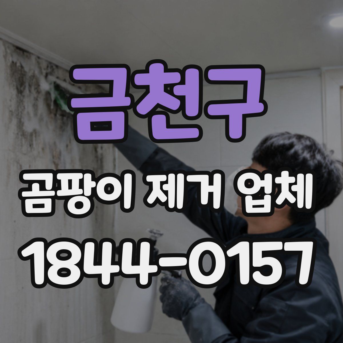 금천구 곰팡이 제거 업체