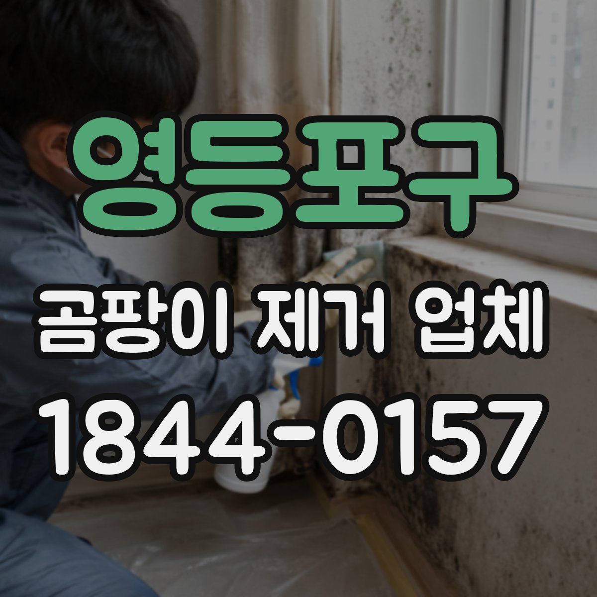 영등포구 곰팡이 제거 업체