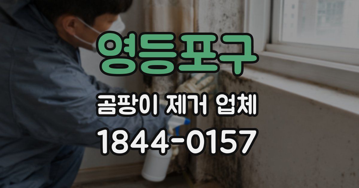 영등포구 곰팡이 제거 업체
