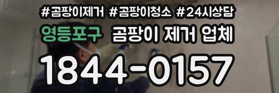 영등포구 곰팡이 제거 업체