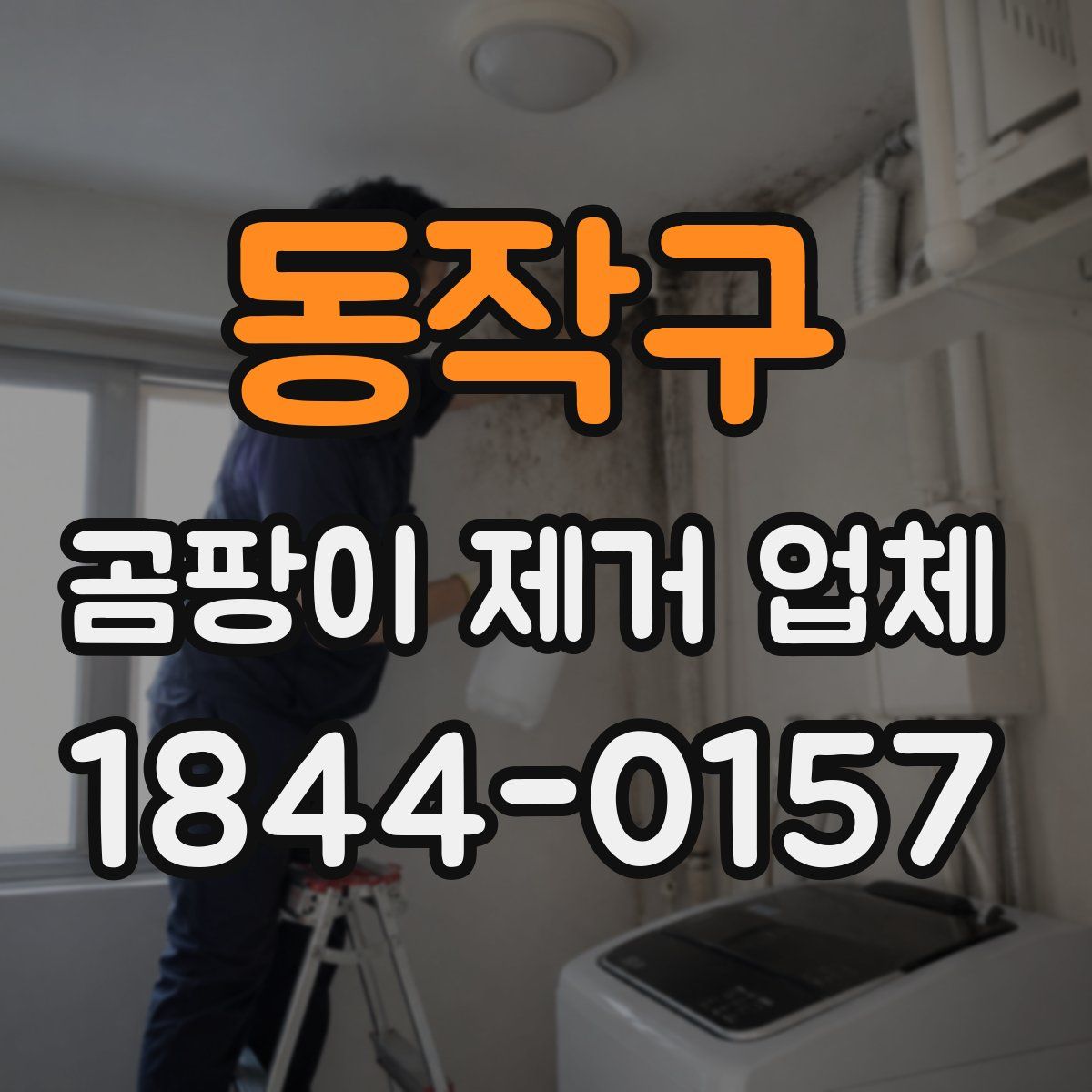 동작구 곰팡이 제거 업체