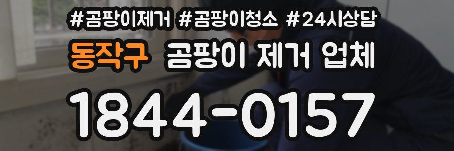 동작구 곰팡이 제거 업체