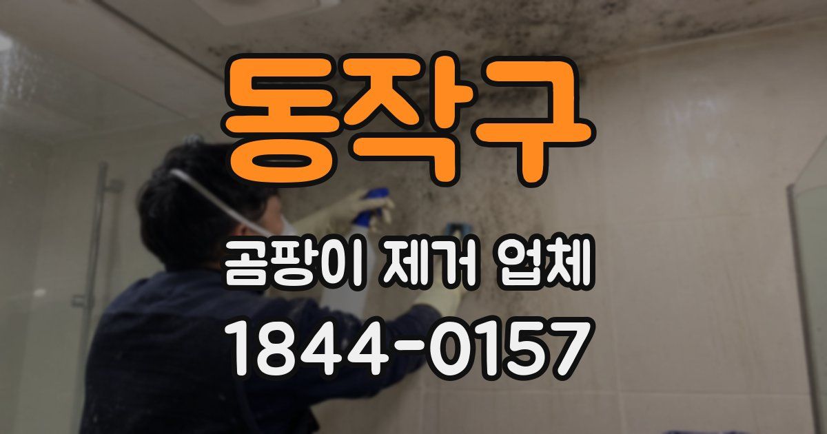 동작구 곰팡이 제거 업체
