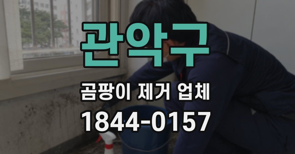 관악구 곰팡이 제거 업체