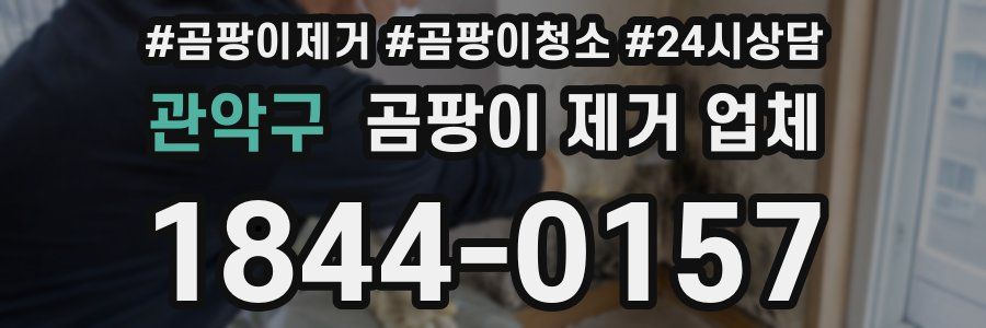 관악구 곰팡이 제거 업체