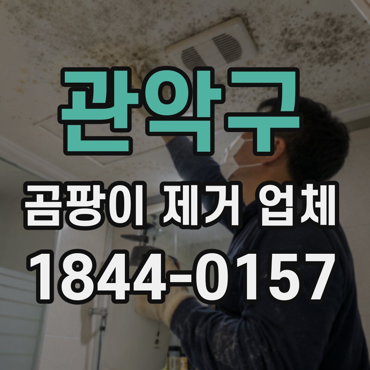 관악구 곰팡이 제거 업체