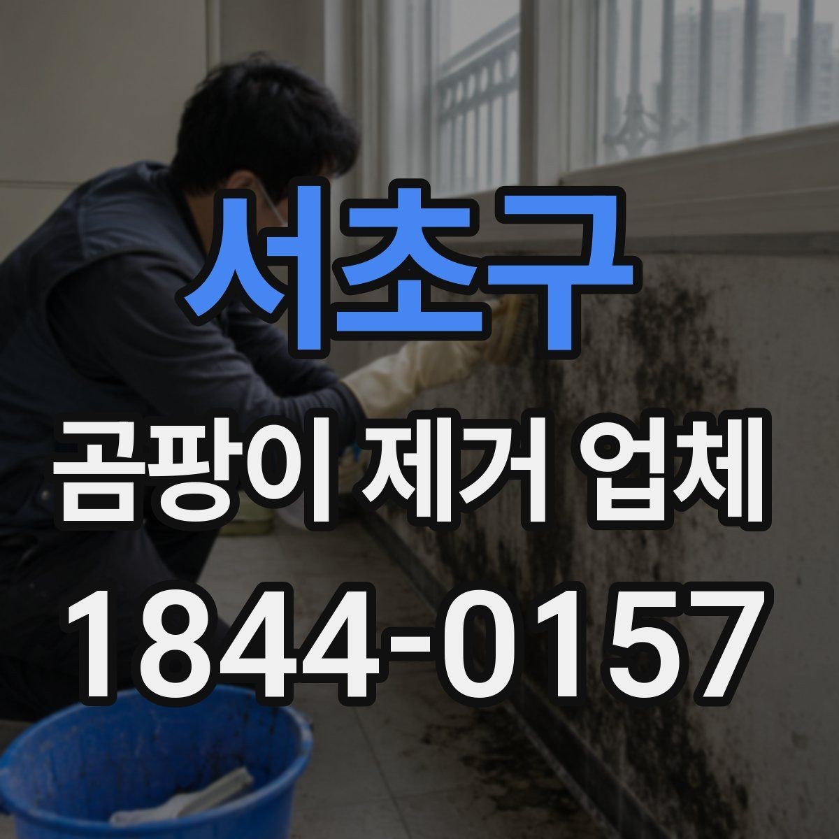 서초구 곰팡이 제거 업체 욕실 줄눈과 실리콘 오염의 처리 포인트