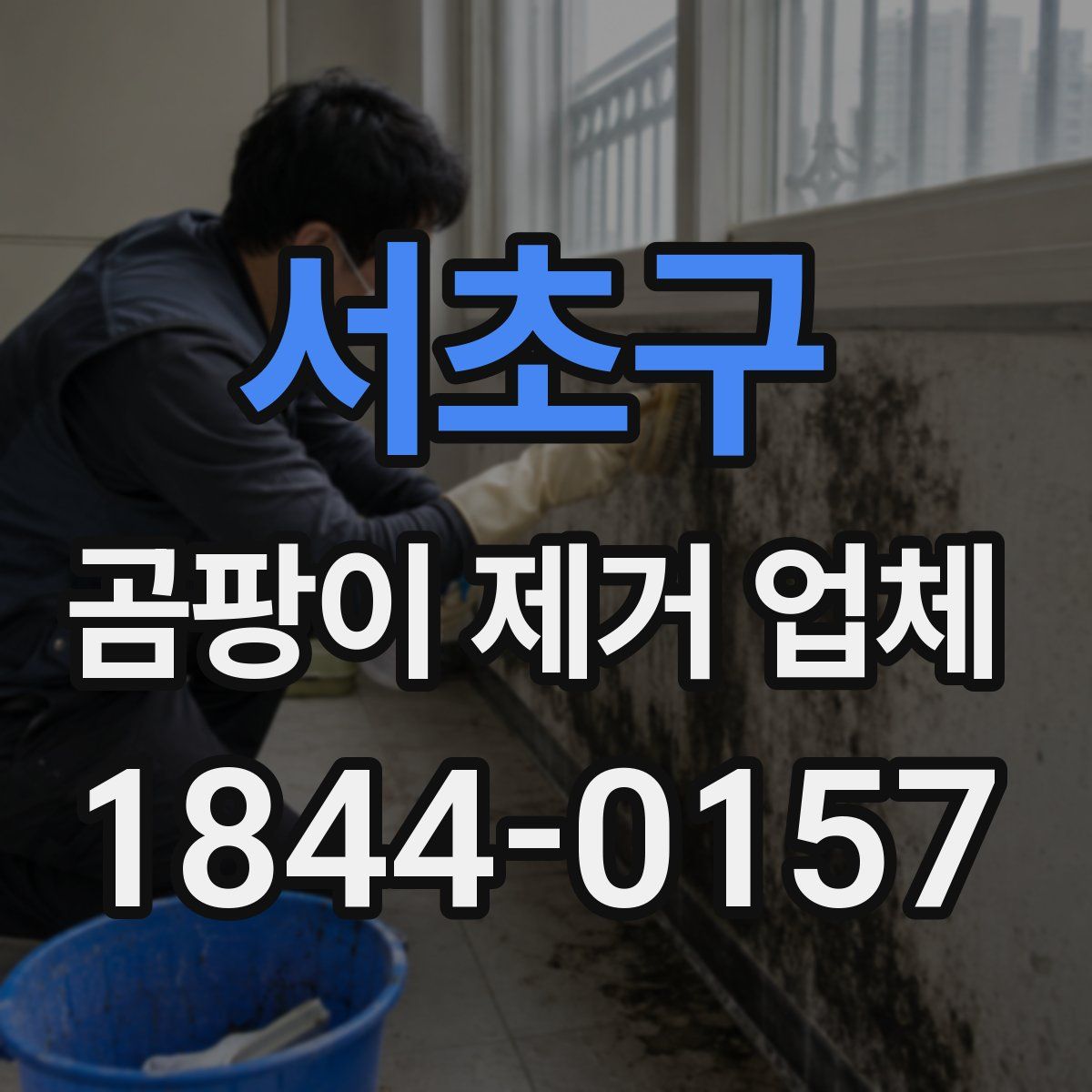 서초구 곰팡이 제거 업체