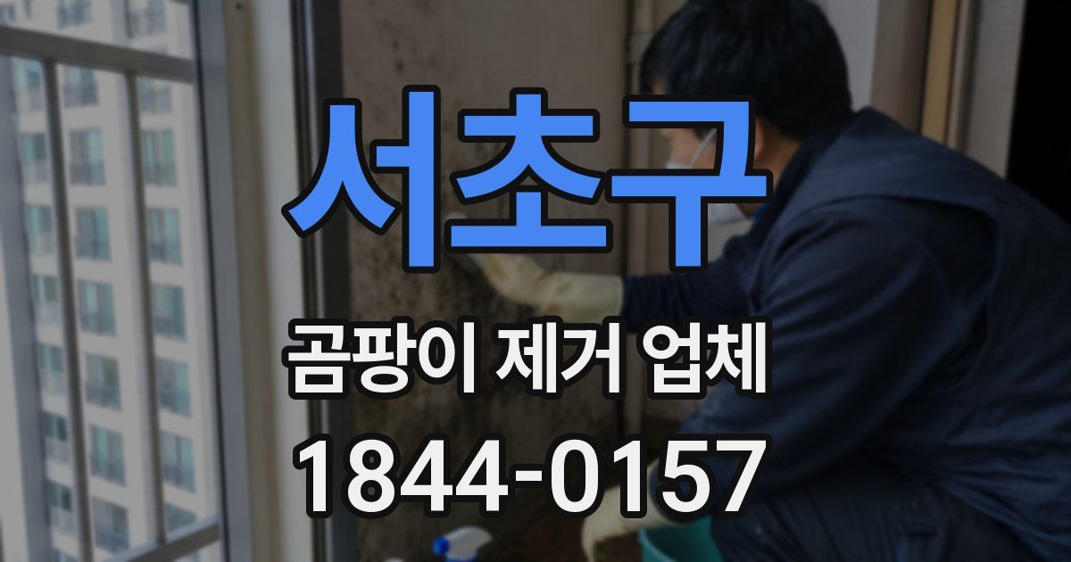 서초구 곰팡이 제거 업체