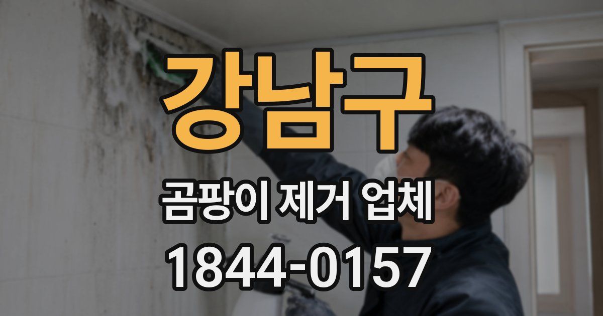 강남구 곰팡이 제거 업체