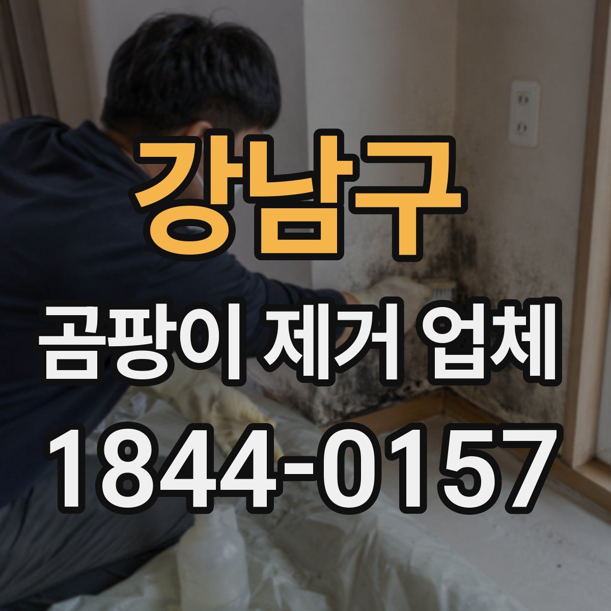 강남구 곰팡이 제거 업체
