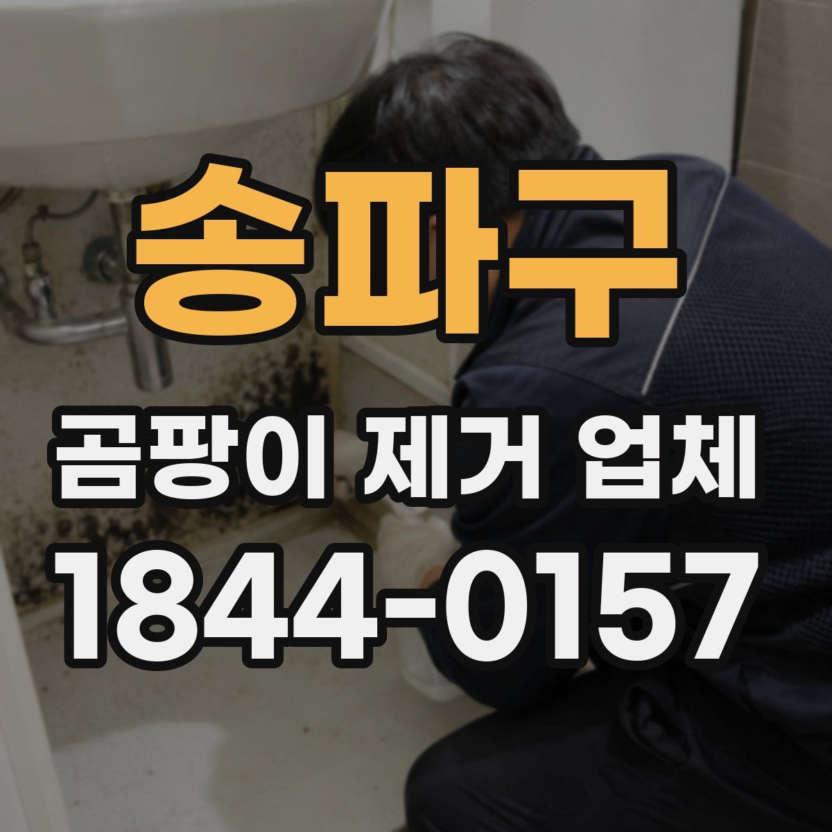 송파구 곰팡이 제거 업체