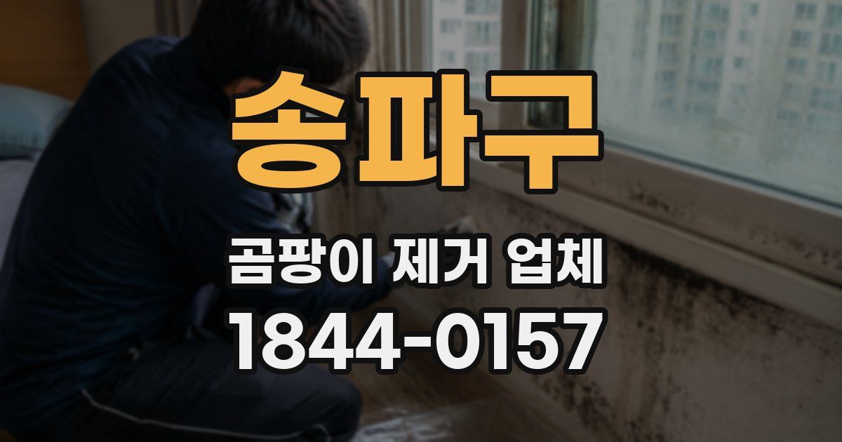 송파구 곰팡이 제거 업체