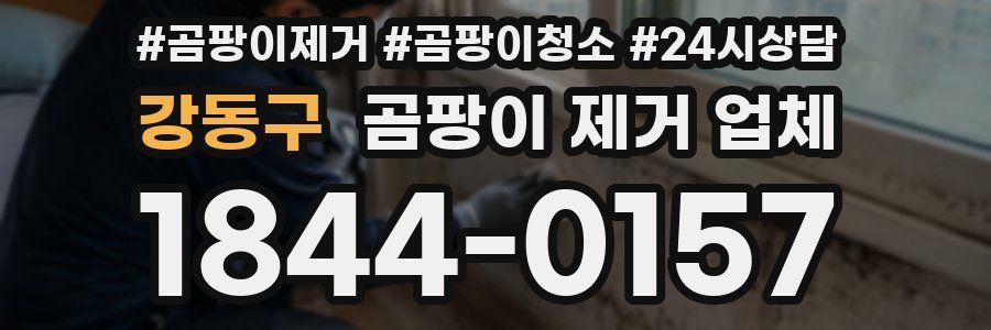 강동구 곰팡이 제거 업체
