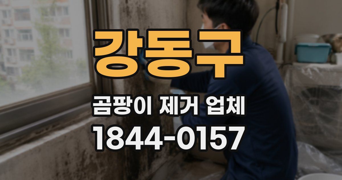 강동구 곰팡이 제거 업체