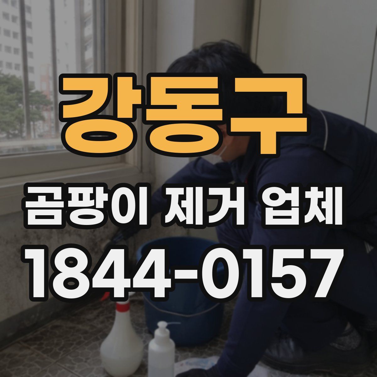 강동구 곰팡이 제거 업체