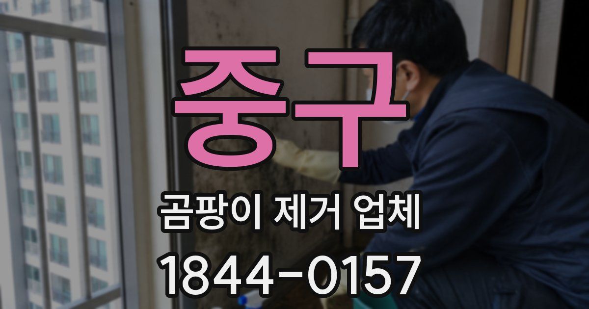 중구 곰팡이 제거 업체