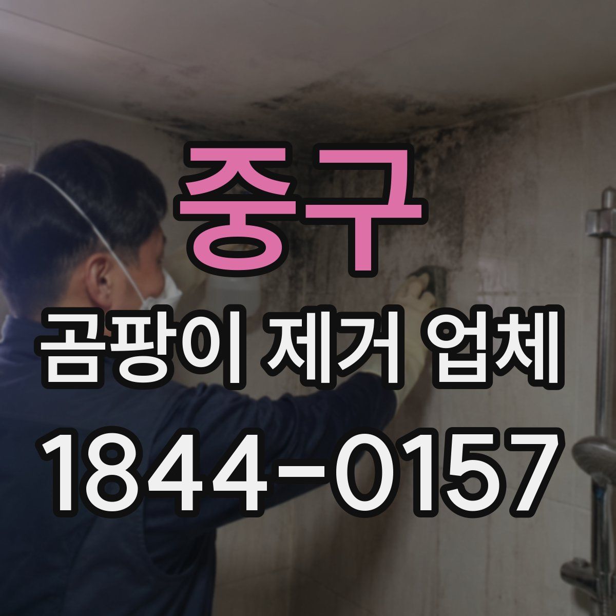 중구 곰팡이 제거 업체