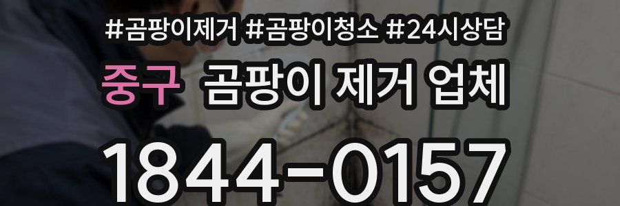 중구 곰팡이 제거 업체