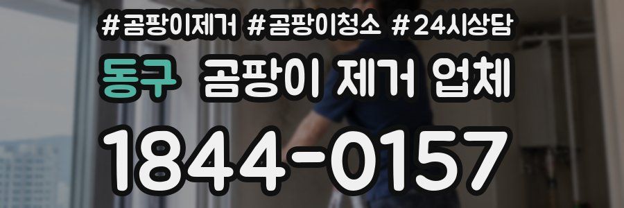 동구 곰팡이 제거 업체