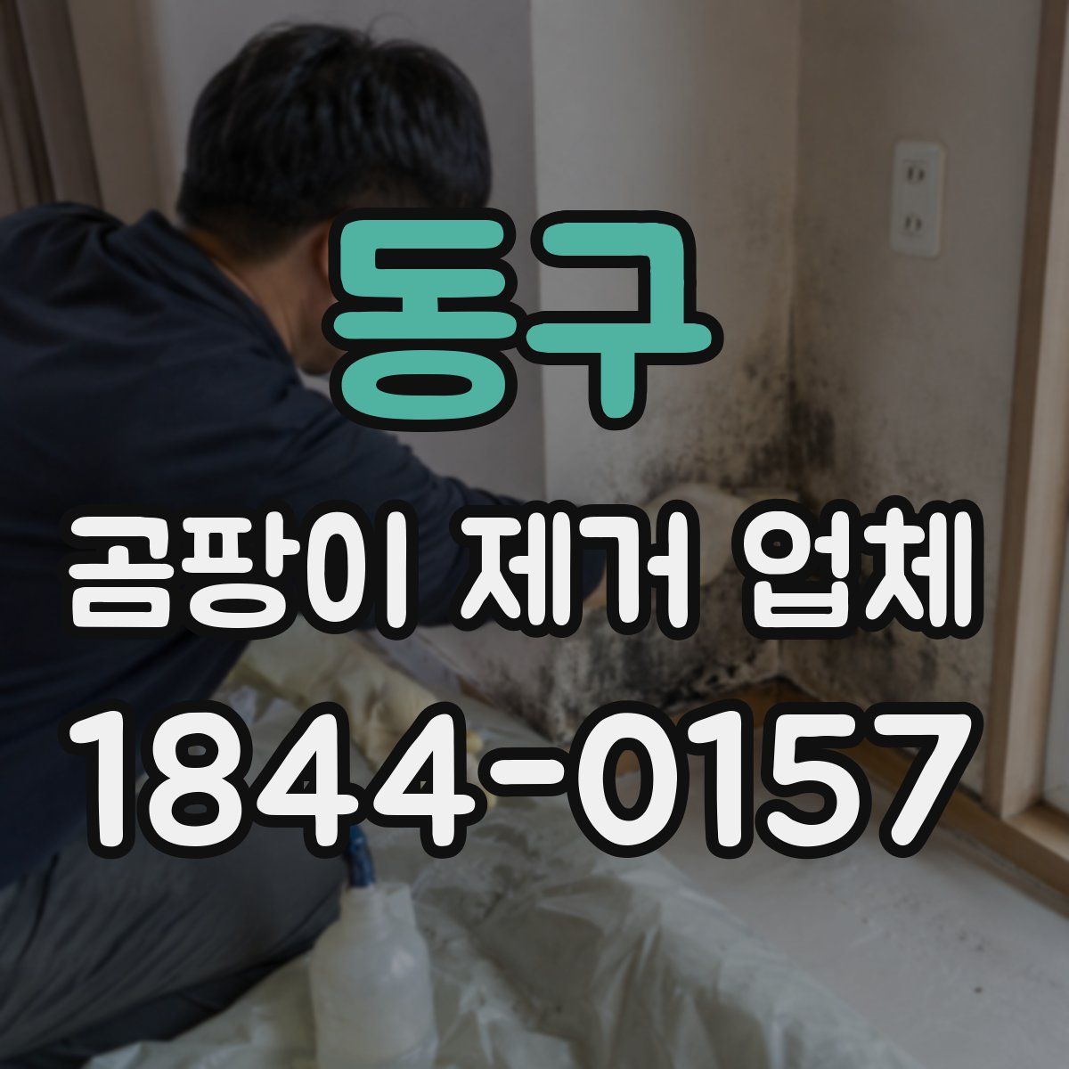동구 곰팡이 제거 업체