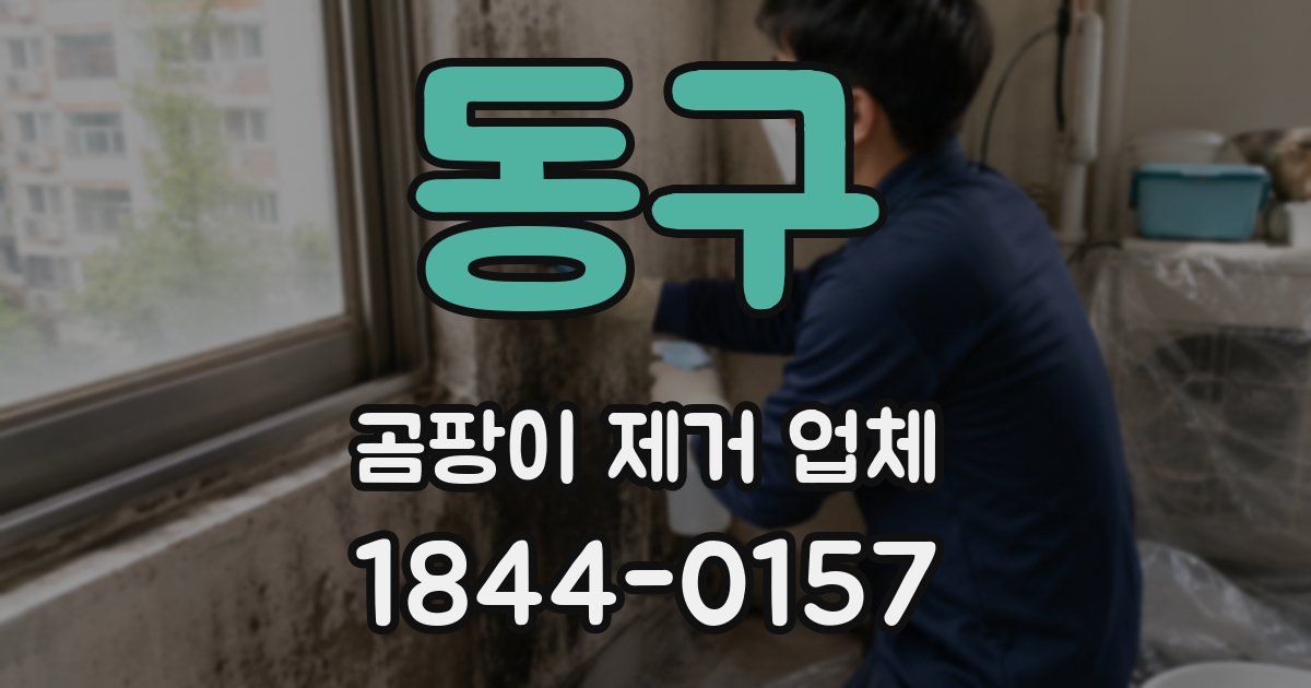 동구 곰팡이 제거 업체