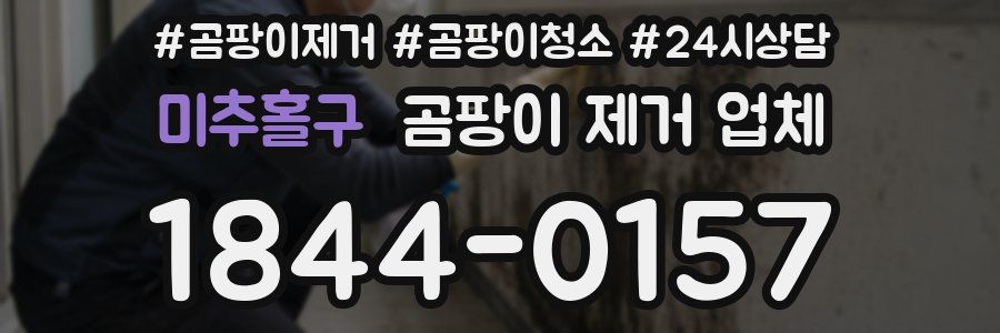 미추홀구 곰팡이 제거 업체