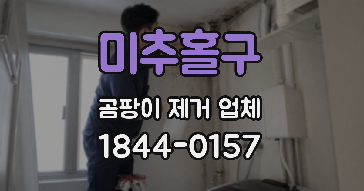 미추홀구 곰팡이 제거 업체