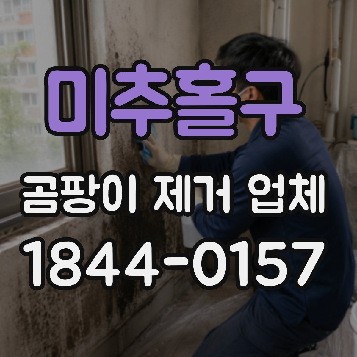 미추홀구 곰팡이 제거 업체