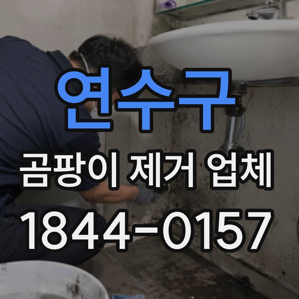 연수구 곰팡이 제거 업체