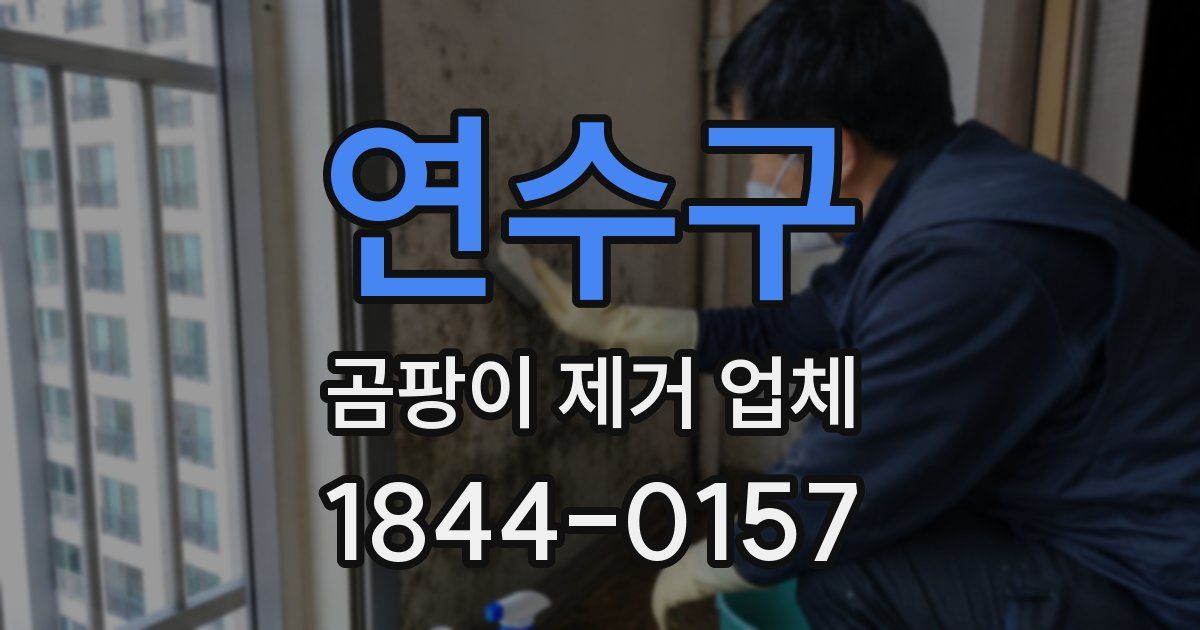 연수구 곰팡이 제거 업체