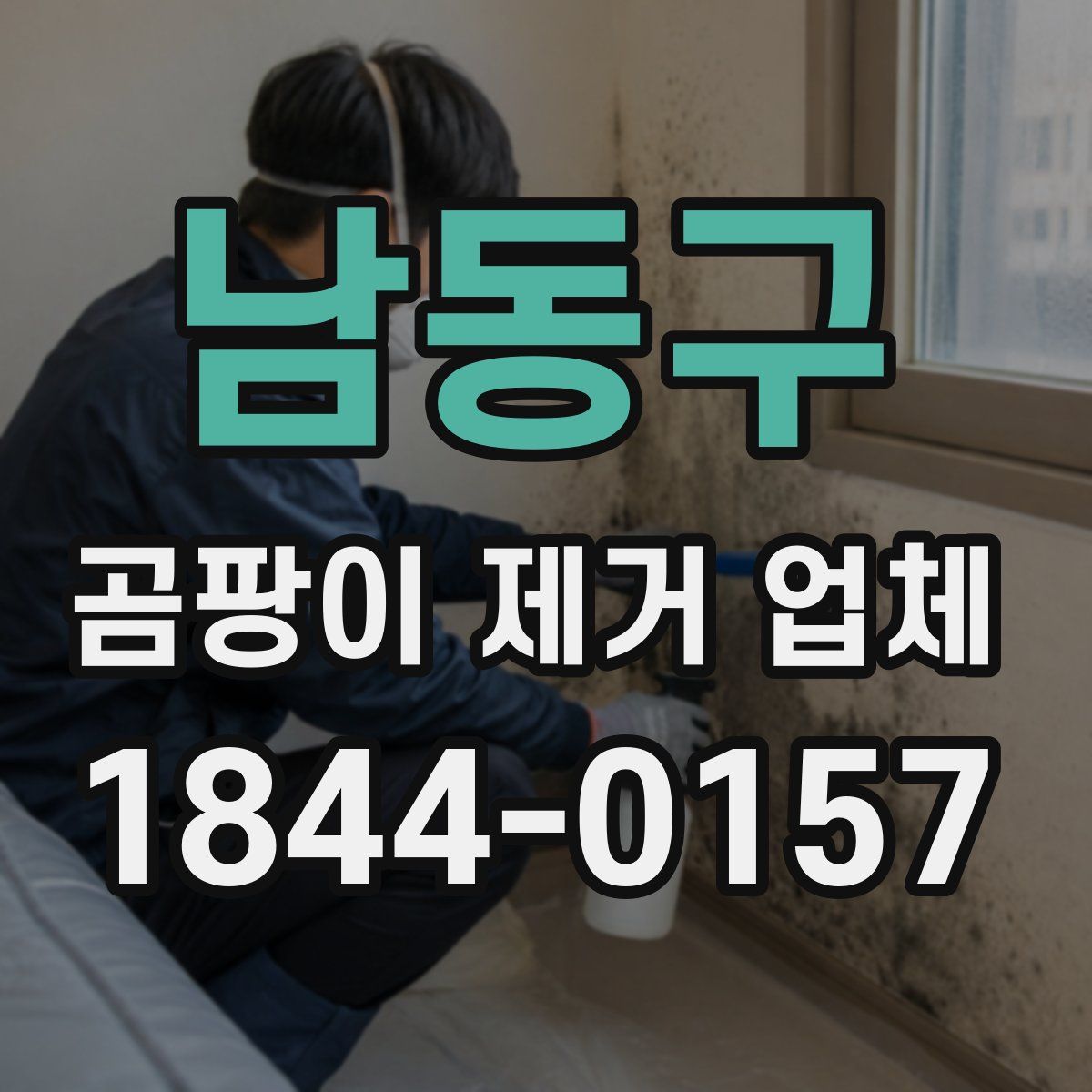 남동구 곰팡이 제거 업체