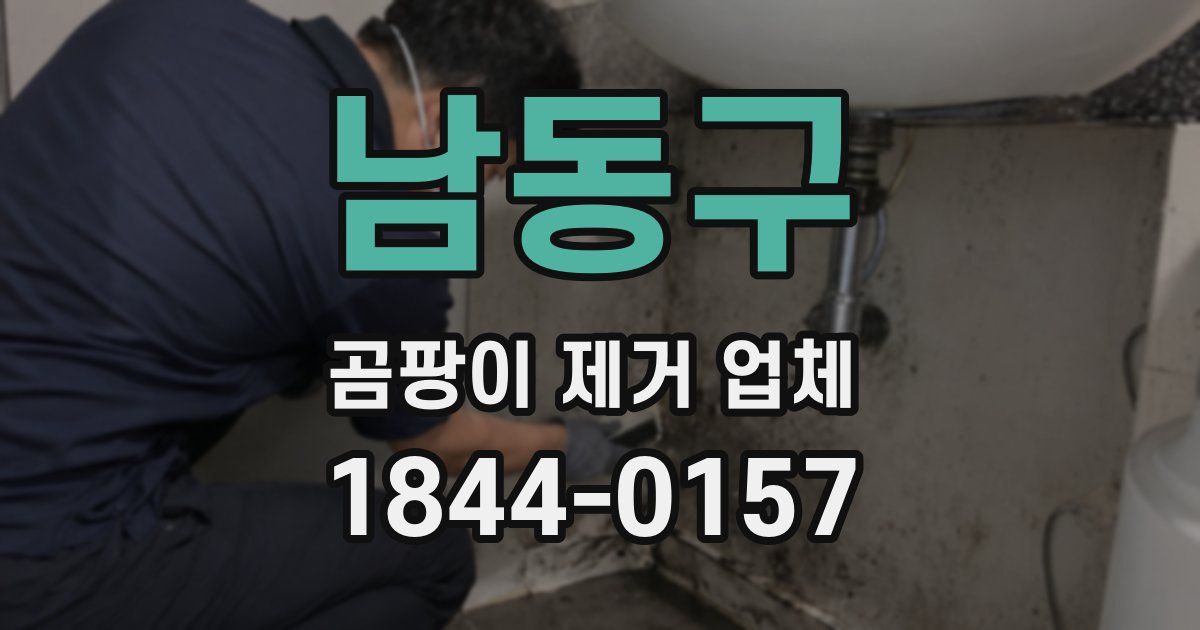 남동구 곰팡이 제거 업체