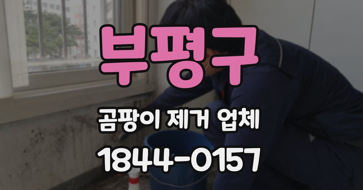 부평구 곰팡이 제거 업체