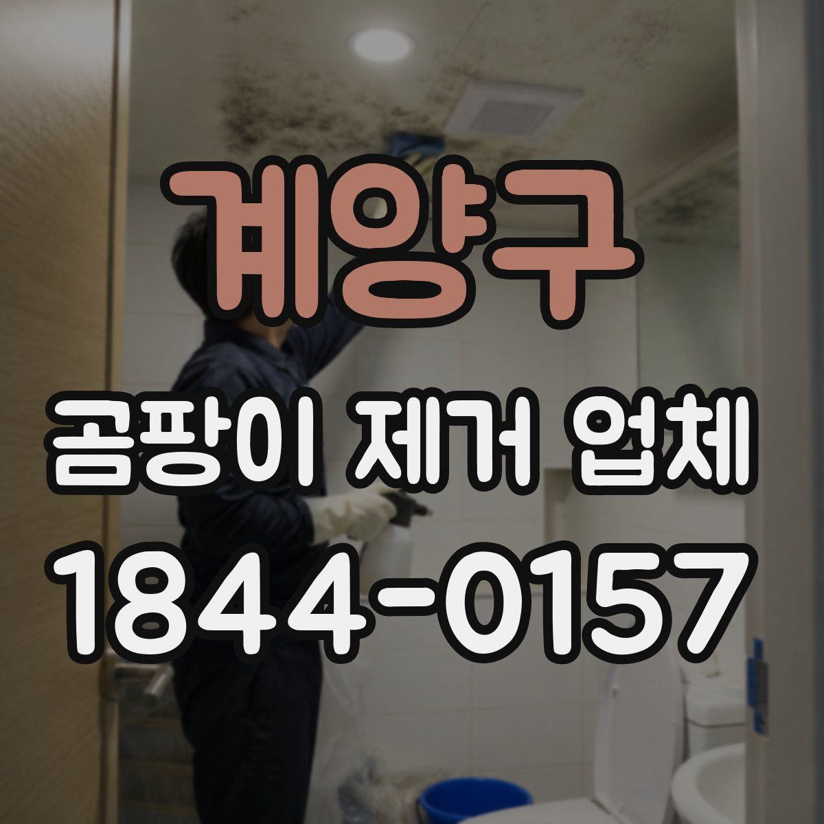 계양구 곰팡이 제거 업체