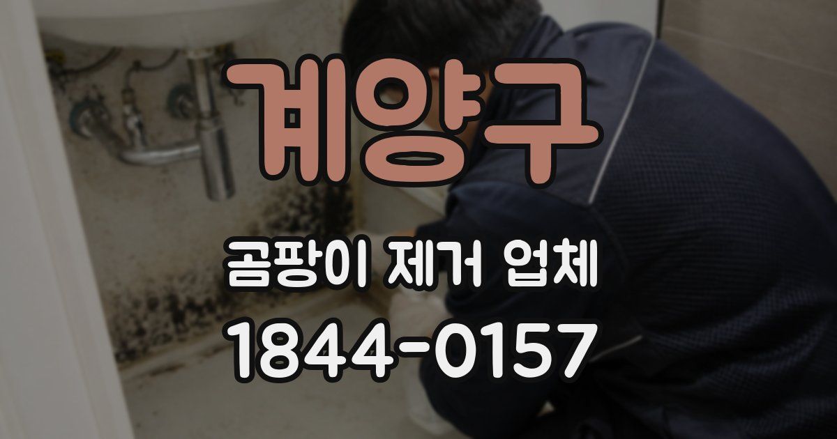 계양구 곰팡이 제거 업체