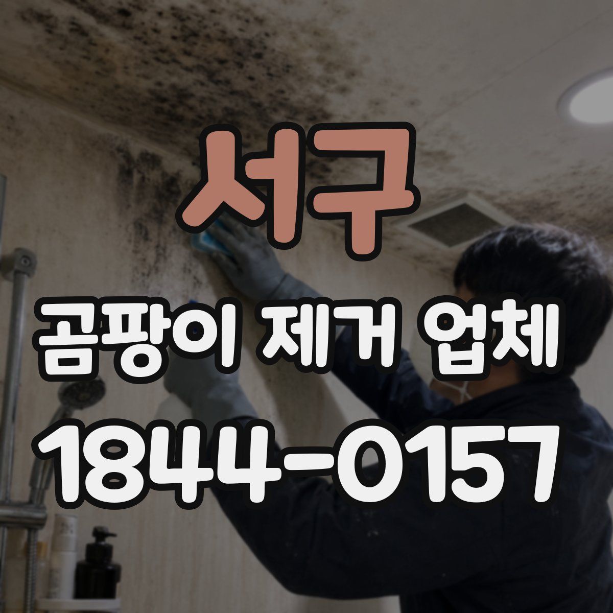 서구 곰팡이 제거 업체