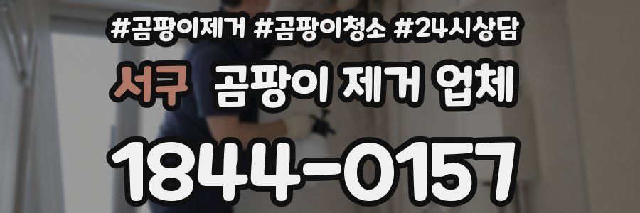서구 곰팡이 제거 업체