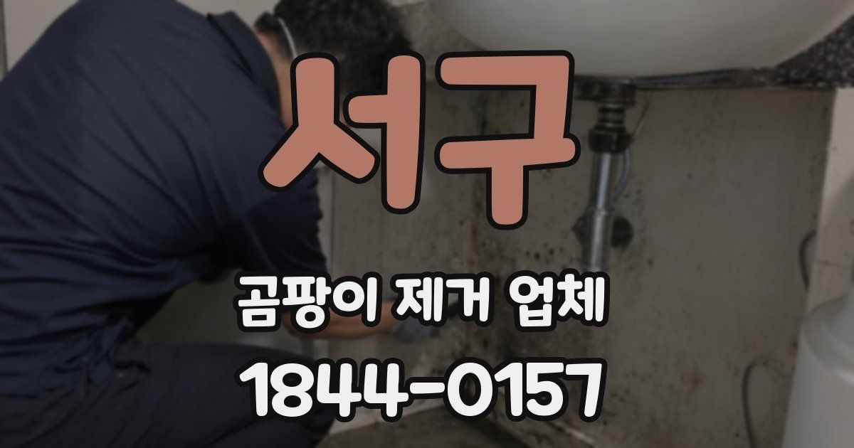 서구 곰팡이 제거 업체