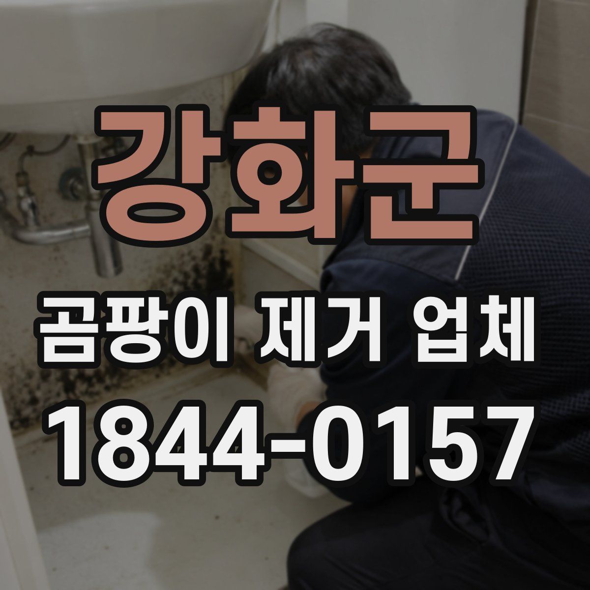강화군 곰팡이 제거 업체