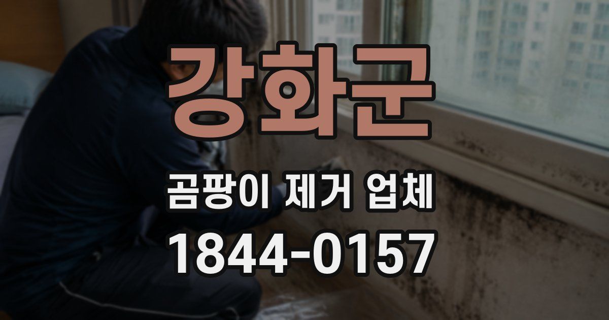 강화군 곰팡이 제거 업체