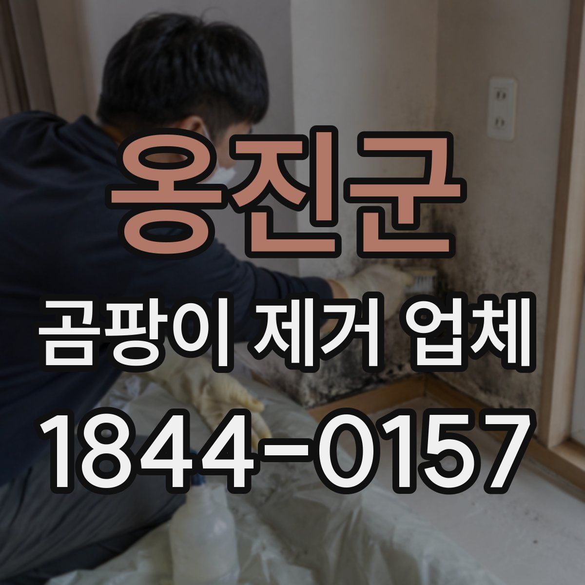 옹진군 곰팡이 제거 업체