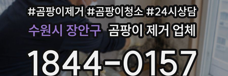 수원시 장안구 곰팡이 제거 업체