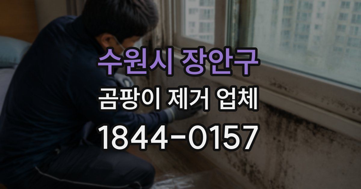 수원시 장안구 곰팡이 제거 업체