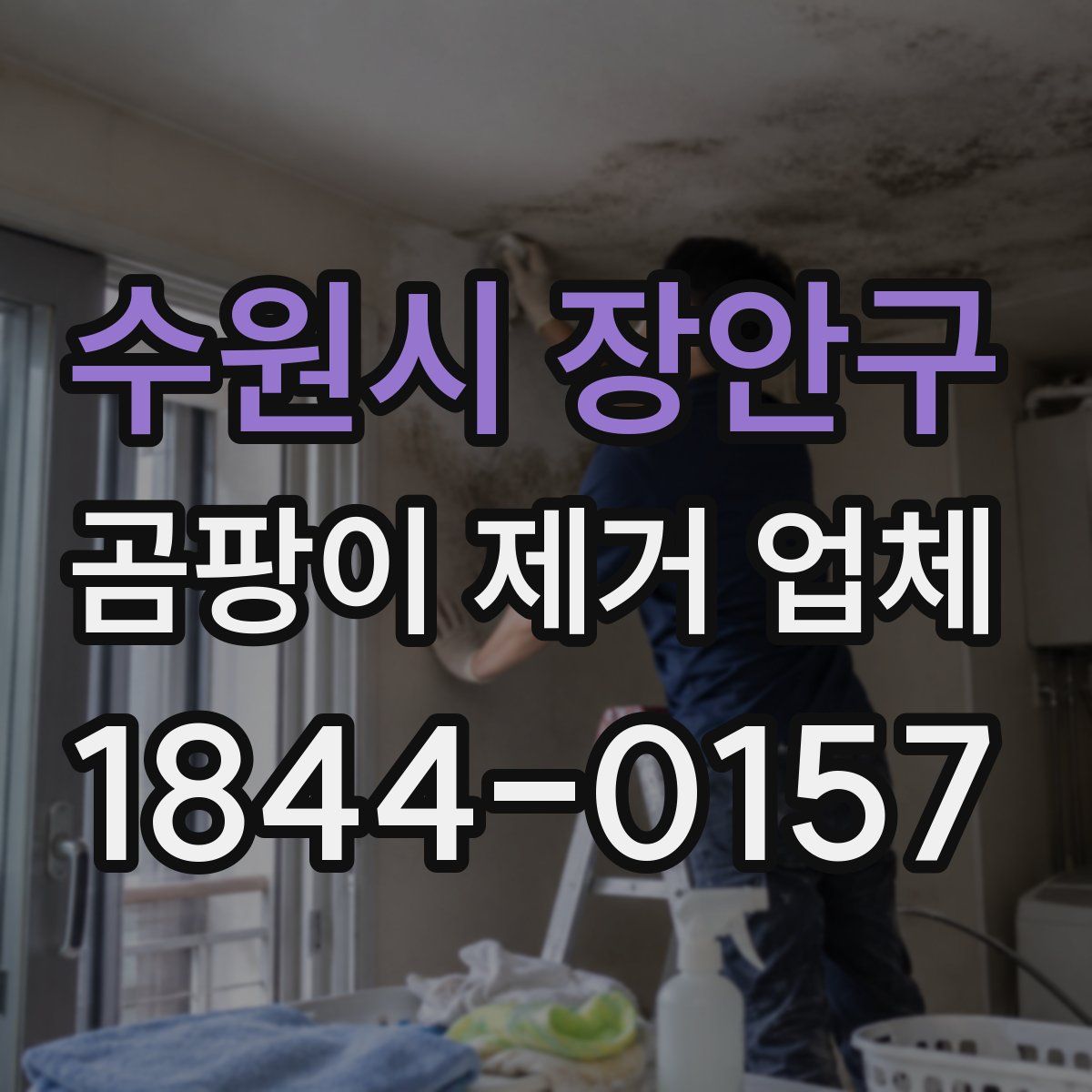 수원시 장안구 곰팡이 제거 업체