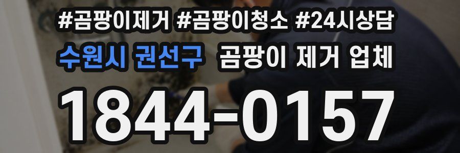 수원시 권선구 곰팡이 제거 업체