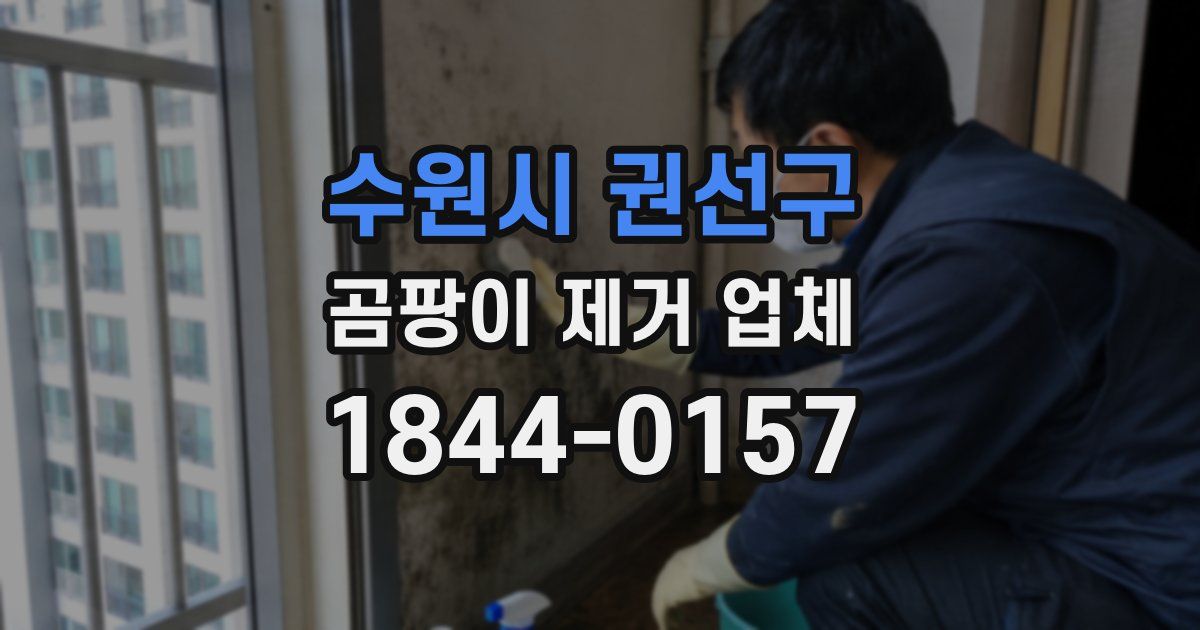 수원시 권선구 곰팡이 제거 업체